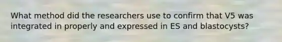 What method did the researchers use to confirm that V5 was integrated in properly and expressed in ES and blastocysts?