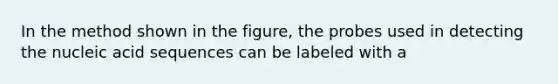 In the method shown in the figure, the probes used in detecting the nucleic acid sequences can be labeled with a