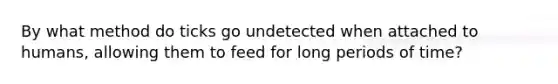 By what method do ticks go undetected when attached to humans, allowing them to feed for long periods of time?