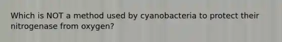 Which is NOT a method used by cyanobacteria to protect their nitrogenase from oxygen?