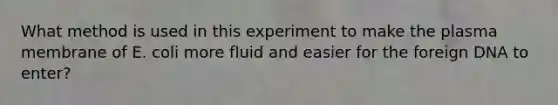 What method is used in this experiment to make the plasma membrane of E. coli more fluid and easier for the foreign DNA to enter?