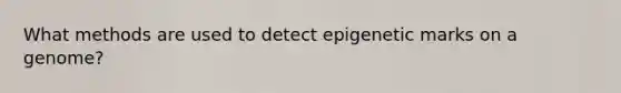 What methods are used to detect epigenetic marks on a genome?