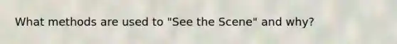 What methods are used to "See the Scene" and why?