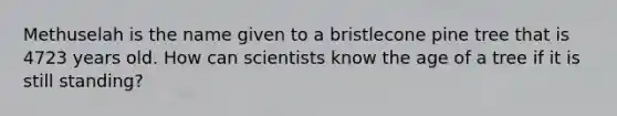 Methuselah is the name given to a bristlecone pine tree that is 4723 years old. How can scientists know the age of a tree if it is still standing?