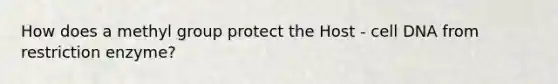 How does a methyl group protect the Host - cell DNA from restriction enzyme?