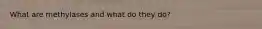 What are methylases and what do they do?