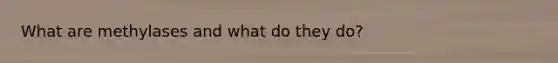 What are methylases and what do they do?