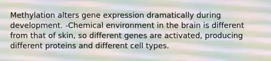 Methylation alters gene expression dramatically during development. -Chemical environment in the brain is different from that of skin, so different genes are activated, producing different proteins and different cell types.