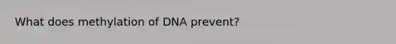 What does methylation of DNA prevent?