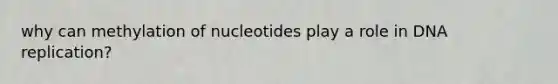 why can methylation of nucleotides play a role in DNA replication?