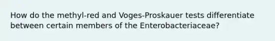 How do the methyl-red and Voges-Proskauer tests differentiate between certain members of the Enterobacteriaceae?