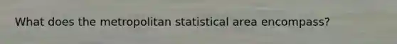 What does the metropolitan statistical area encompass?