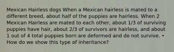 Mexican Hairless dogs When a Mexican hairless is mated to a different breed, about half of the puppies are hairless. When 2 Mexican Hairless are mated to each other, about 1/3 of surviving puppies have hair, about 2/3 of survivors are hairless, and about 1 out of 4 total puppies born are deformed and do not survive. • How do we show this type of inheritance?