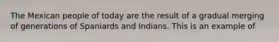 The Mexican people of today are the result of a gradual merging of generations of Spaniards and Indians. This is an example of