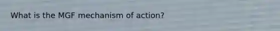 What is the MGF mechanism of action?