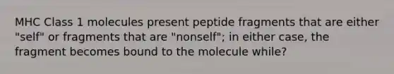 MHC Class 1 molecules present peptide fragments that are either "self" or fragments that are "nonself"; in either case, the fragment becomes bound to the molecule while?