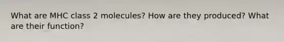 What are MHC class 2 molecules? How are they produced? What are their function?