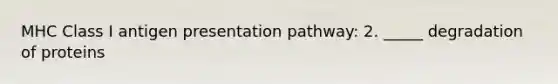 MHC Class I antigen presentation pathway: 2. _____ degradation of proteins