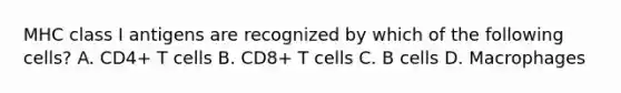 MHC class I antigens are recognized by which of the following cells? A. CD4+ T cells B. CD8+ T cells C. B cells D. Macrophages