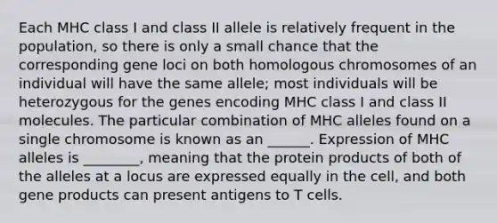 Each MHC class I and class II allele is relatively frequent in the population, so there is only a small chance that the corresponding gene loci on both homologous chromosomes of an individual will have the same allele; most individuals will be heterozygous for the genes encoding MHC class I and class II molecules. The particular combination of MHC alleles found on a single chromosome is known as an ______. Expression of MHC alleles is ________, meaning that the protein products of both of the alleles at a locus are expressed equally in the cell, and both gene products can present antigens to T cells.