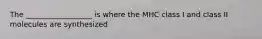 The __________________ is where the MHC class I and class II molecules are synthesized