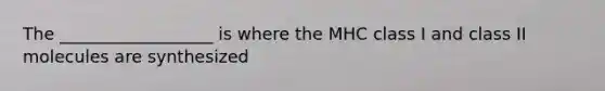 The __________________ is where the MHC class I and class II molecules are synthesized