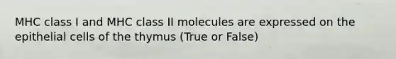 MHC class I and MHC class II molecules are expressed on the epithelial cells of the thymus (True or False)