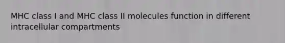 MHC class I and MHC class II molecules function in different intracellular compartments