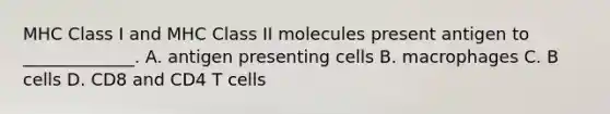 MHC Class I and MHC Class II molecules present antigen to _____________. A. antigen presenting cells B. macrophages C. B cells D. CD8 and CD4 T cells