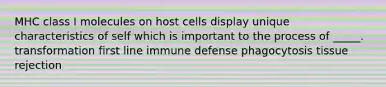 MHC class I molecules on host cells display unique characteristics of self which is important to the process of _____. transformation first line immune defense phagocytosis tissue rejection