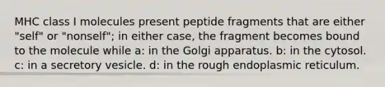 MHC class I molecules present peptide fragments that are either "self" or "nonself"; in either case, the fragment becomes bound to the molecule while a: in the Golgi apparatus. b: in the cytosol. c: in a secretory vesicle. d: in the rough endoplasmic reticulum.