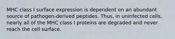 MHC class I surface expression is dependent on an abundant source of pathogen-derived peptides. Thus, in uninfected cells, nearly all of the MHC class I proteins are degraded and never reach the cell surface.