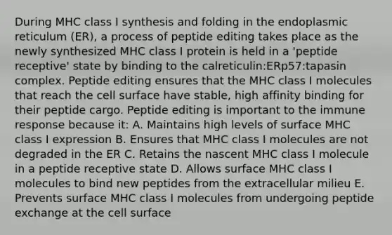 During MHC class I synthesis and folding in the endoplasmic reticulum (ER), a process of peptide editing takes place as the newly synthesized MHC class I protein is held in a 'peptide receptive' state by binding to the calreticulin:ERp57:tapasin complex. Peptide editing ensures that the MHC class I molecules that reach the cell surface have stable, high affinity binding for their peptide cargo. Peptide editing is important to the immune response because it: A. Maintains high levels of surface MHC class I expression B. Ensures that MHC class I molecules are not degraded in the ER C. Retains the nascent MHC class I molecule in a peptide receptive state D. Allows surface MHC class I molecules to bind new peptides from the extracellular milieu E. Prevents surface MHC class I molecules from undergoing peptide exchange at the cell surface