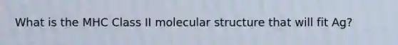 What is the MHC Class II molecular structure that will fit Ag?