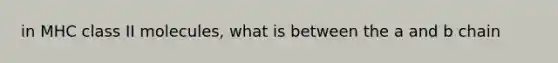 in MHC class II molecules, what is between the a and b chain