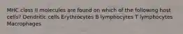 MHC class II molecules are found on which of the following host cells? Dendritic cells Erythrocytes B lymphocytes T lymphocytes Macrophages