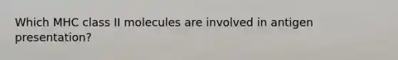 Which MHC class II molecules are involved in antigen presentation?