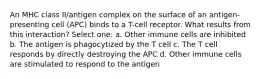 An MHC class II/antigen complex on the surface of an antigen-presenting cell (APC) binds to a T-cell receptor. What results from this interaction? Select one: a. Other immune cells are inhibited b. The antigen is phagocytized by the T cell c. The T cell responds by directly destroying the APC d. Other immune cells are stimulated to respond to the antigen