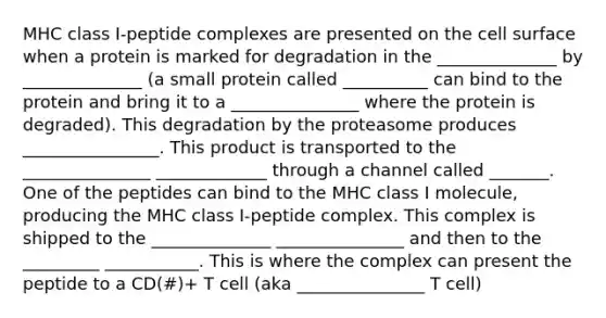 MHC class I-peptide complexes are presented on the cell surface when a protein is marked for degradation in the ______________ by ______________ (a small protein called __________ can bind to the protein and bring it to a _______________ where the protein is degraded). This degradation by the proteasome produces ________________. This product is transported to the _______________ _____________ through a channel called _______. One of the peptides can bind to the MHC class I molecule, producing the MHC class I-peptide complex. This complex is shipped to the ______________ _______________ and then to the _________ ___________. This is where the complex can present the peptide to a CD(#)+ T cell (aka _______________ T cell)