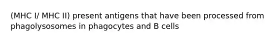 (MHC I/ MHC II) present antigens that have been processed from phagolysosomes in phagocytes and B cells