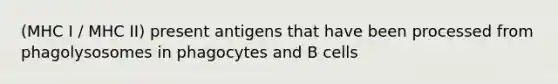 (MHC I / MHC II) present antigens that have been processed from phagolysosomes in phagocytes and B cells