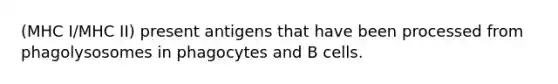 (MHC I/MHC II) present antigens that have been processed from phagolysosomes in phagocytes and B cells.