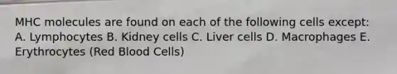 MHC molecules are found on each of the following cells except: A. Lymphocytes B. Kidney cells C. Liver cells D. Macrophages E. Erythrocytes (Red Blood Cells)