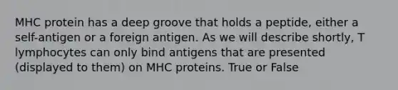 MHC protein has a deep groove that holds a peptide, either a self-antigen or a foreign antigen. As we will describe shortly, T lymphocytes can only bind antigens that are presented (displayed to them) on MHC proteins. True or False