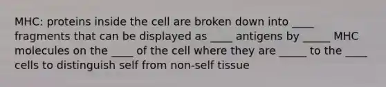 MHC: proteins inside the cell are broken down into ____ fragments that can be displayed as ____ antigens by _____ MHC molecules on the ____ of the cell where they are _____ to the ____ cells to distinguish self from non-self tissue