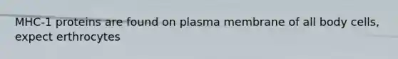 MHC-1 proteins are found on plasma membrane of all body cells, expect erthrocytes