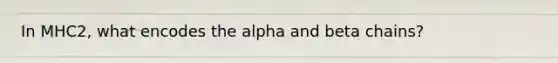 In MHC2, what encodes the alpha and beta chains?