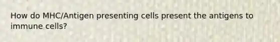 How do MHC/Antigen presenting cells present the antigens to immune cells?