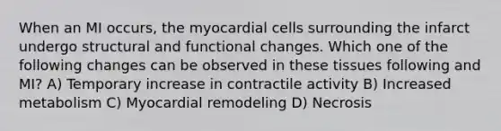 When an MI occurs, the myocardial cells surrounding the infarct undergo structural and functional changes. Which one of the following changes can be observed in these tissues following and MI? A) Temporary increase in contractile activity B) Increased metabolism C) Myocardial remodeling D) Necrosis