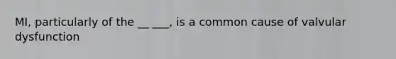 MI, particularly of the __ ___, is a common cause of valvular dysfunction